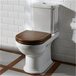 Унитаз VILLEROY & BOCH Hommage 666210 R2 Изображение