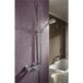 Душевой гарнитур HANSGROHE Raindance Classic 100 27841000 Изображение