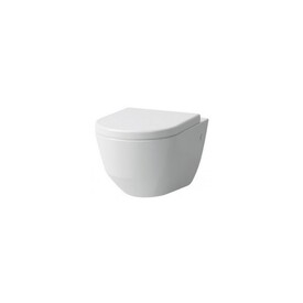 Унитаз LAUFEN Pro 8.2096.6 Directflush с сиденьем 8.9695.1 Soft Close Изображение