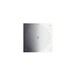 Верхний душ HANSGROHE Raindance Air Ecosmart 26481000 Изображение