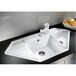 Кухонная мойка BLANCO LEXA 9E (515098) белый Изображение